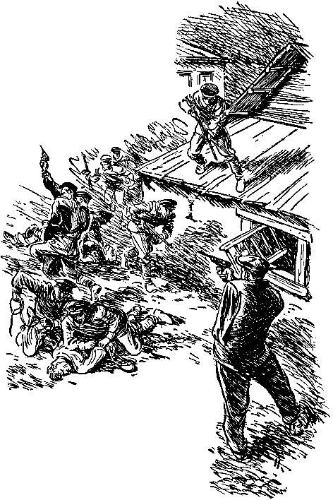 Тарантул (илл. Н. Кочергина) - pic_25.png