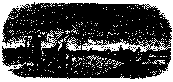 Тарантул (худ. А. В. Яркин) - pic_4.png