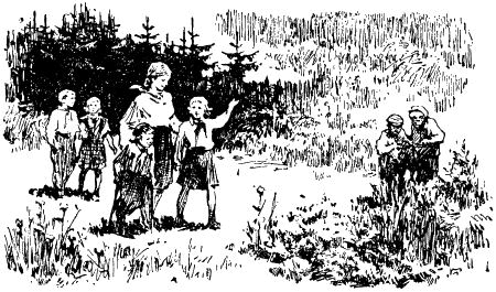 Жизнь побеждает (с иллюстрациями) - i_009.png