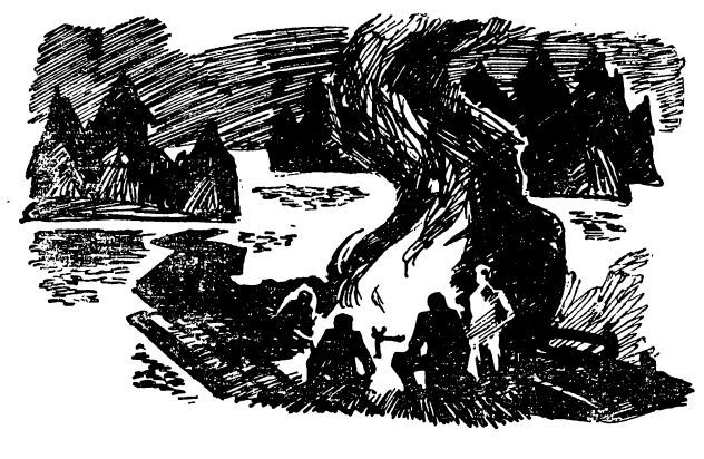 Праведная бедность: Полная биография одного финна (с иллюстрациями) - sillanpja_ill_07.jpg