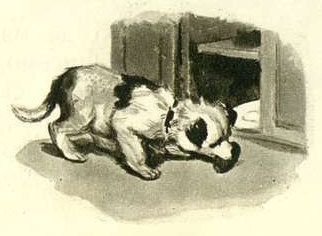 Хорошие путешественники - i_042.jpg