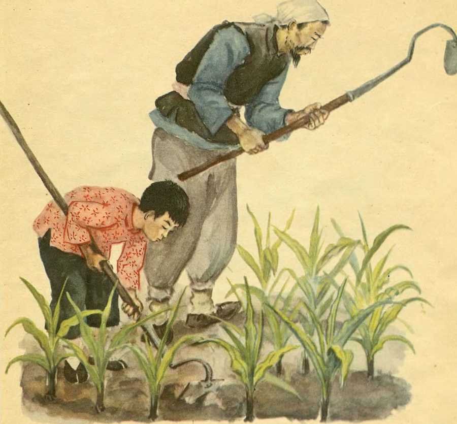 Боб, который умел петь песни - image7.jpg