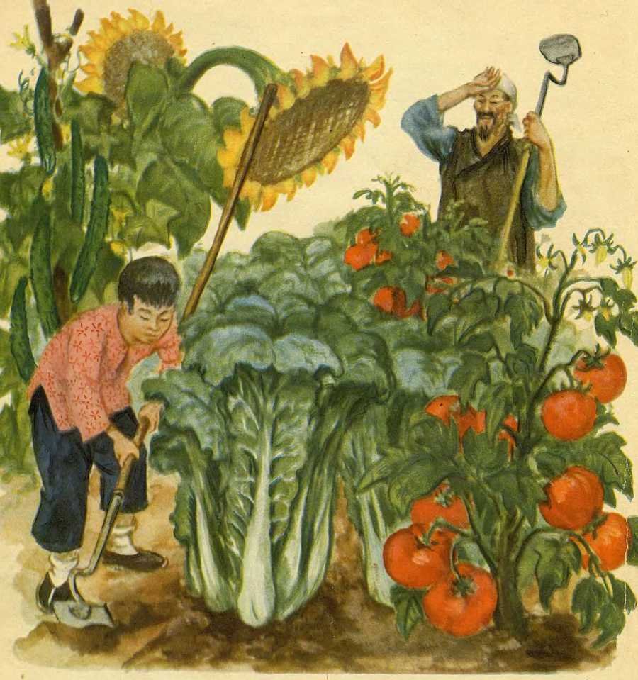 Боб, который умел петь песни - image11.jpg