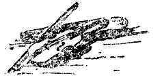 Поиски знаменитостей - i_015.png
