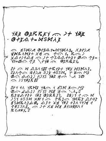 Хорьки-спасатели на море - image05.jpg