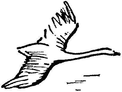 Колышек у вербы (Рассказы) - i_010.png