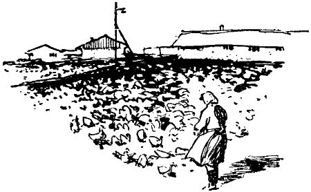 Колышек у вербы (Рассказы) - i_014.png