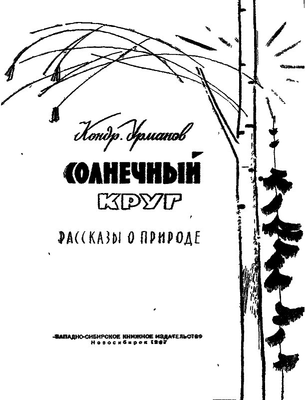 Солнечный круг - i_001.png