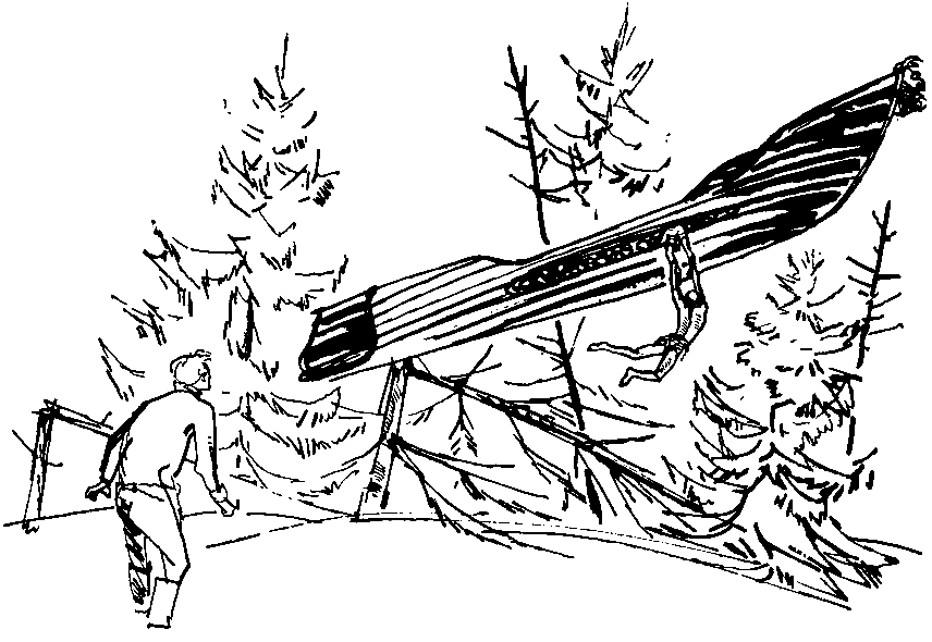 Летающие кочевники - pic_6.png