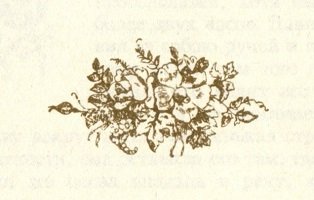 Грибуль - i_005.jpg