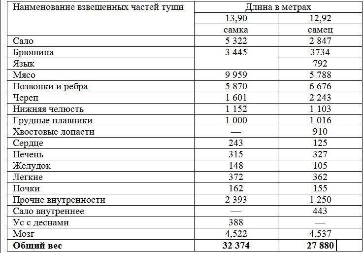 Вокруг света за китами - _92.jpg