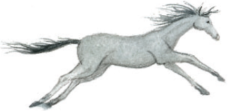 Волшебные сказки Ингушетии - i_026.png