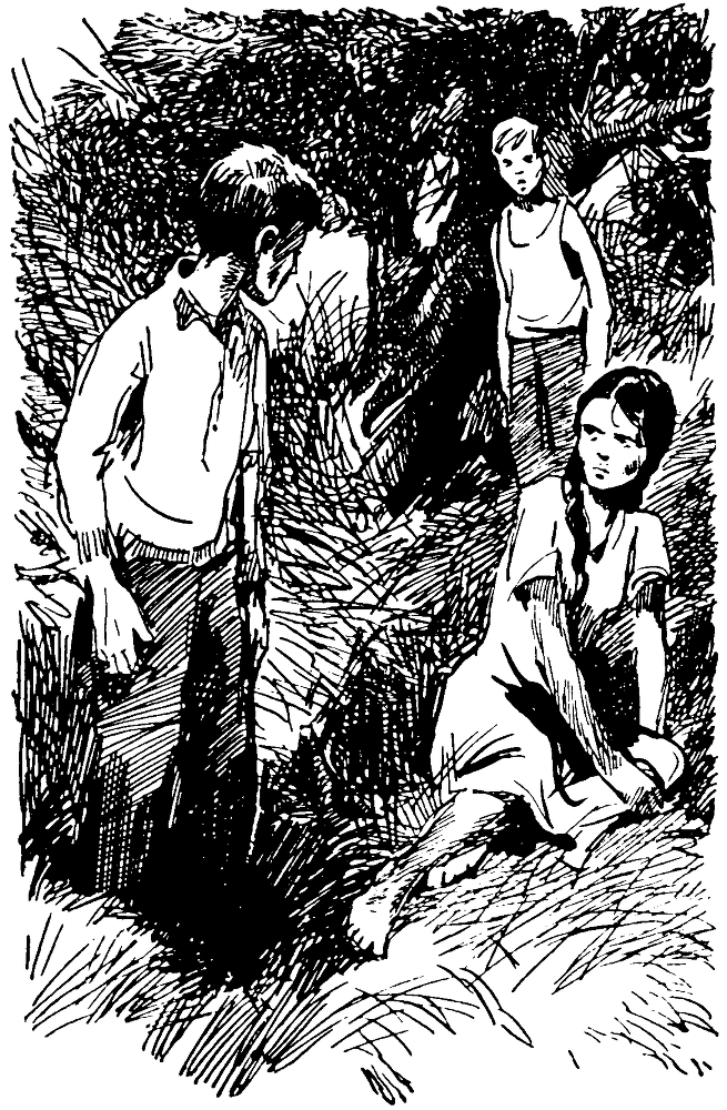 Прекрасны ли зори?.. - pic03.png