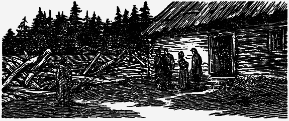 Том 4. Жень-шень. Серая Сова. Неодетая весна - i_017.png