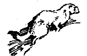 Снежный человек (илл. И. Архипова) - pic_48.png