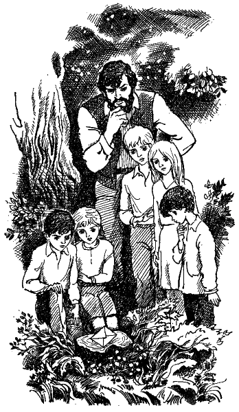 Два цвета радуги (с илл.) - i_018.png