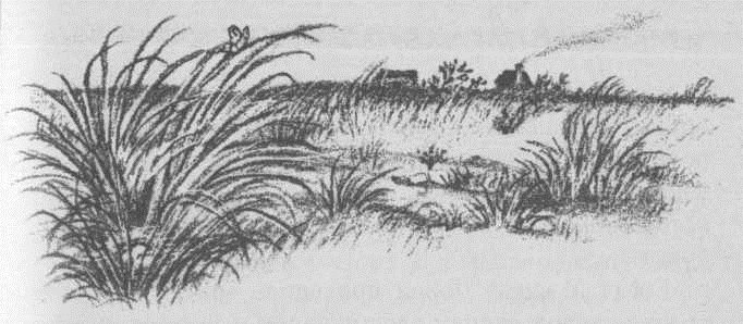 Долгая зима - _32.jpg