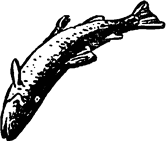 Тук Тукыч - i_016.png