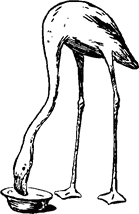 Тук Тукыч - i_027.png