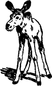 Тук Тукыч - i_042.png