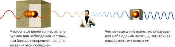 Мир в ореховой скорлупке (илл. книга-журнал) - i_040.png