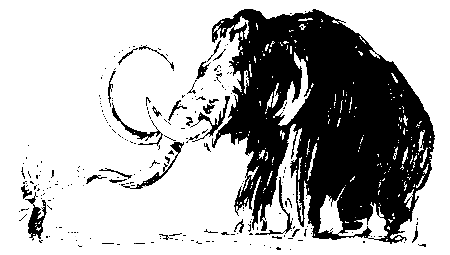 Черный свет (сборник) - pic_6.png