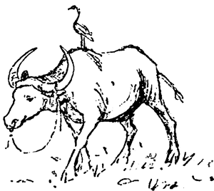 Дети великого океана - i_002.png