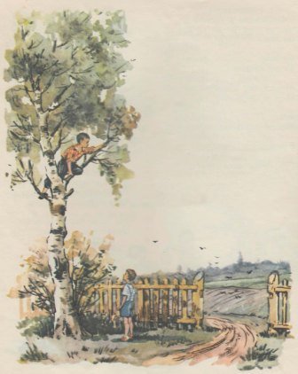 Про Гришу и Мишу - img_13.jpg