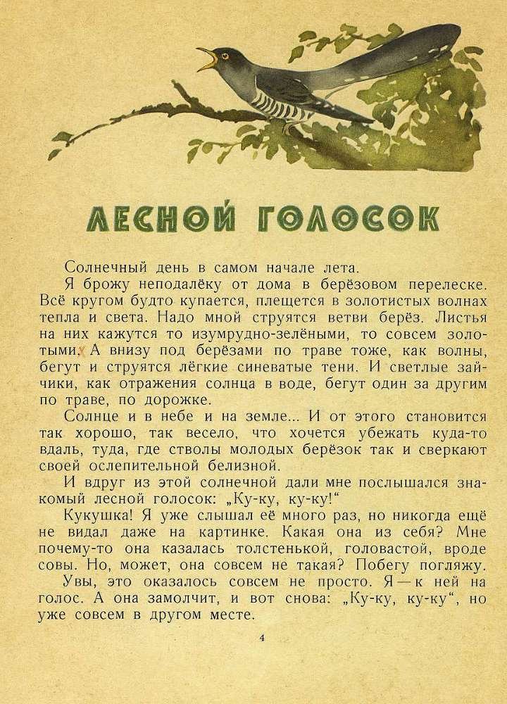 Лесной голосок - _5.jpg