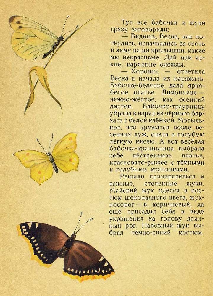 Лесной голосок - _9.jpg