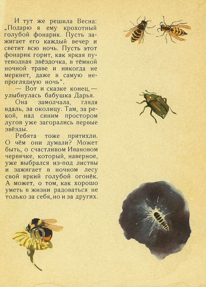 Лесной голосок - _12.jpg