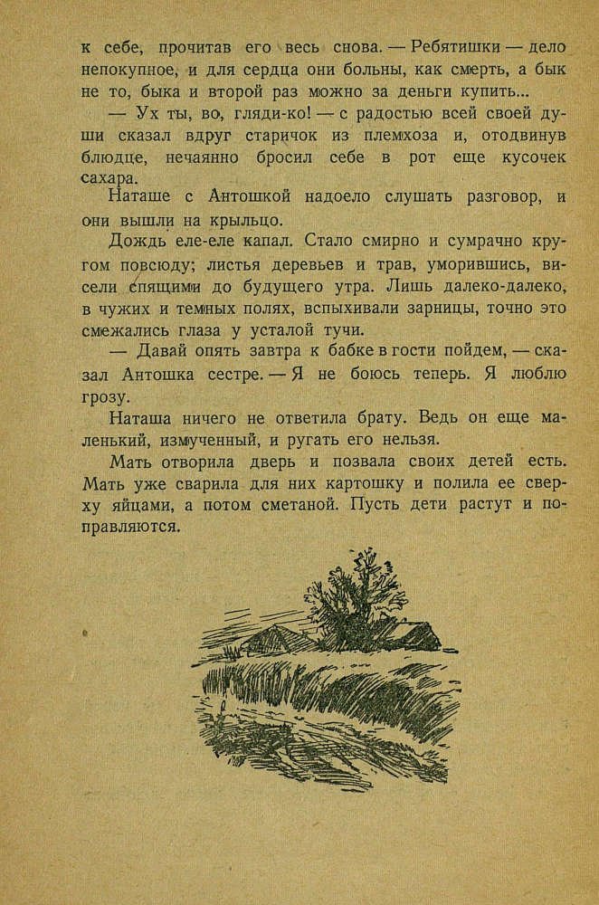 Июльская гроза - _26.jpg