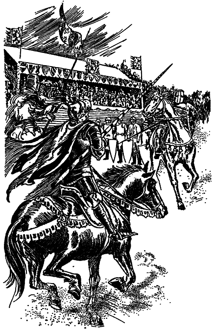 Тайны средневековых рыцарей - i_024.png