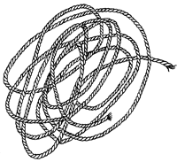 Империя Дикого леса - i_054.png