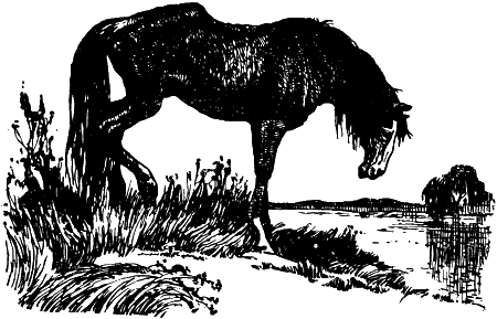 Тройка запряженных кузнечиков - i_003.png