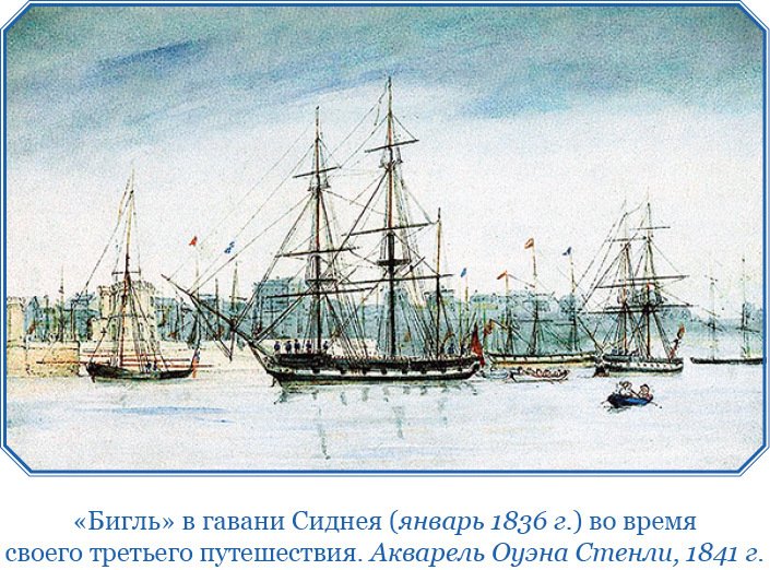 Путешествие вокруг света на корабле «Бигль» (с илл.) - i_004.jpg