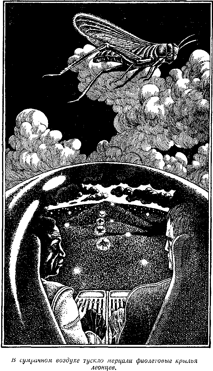 Посол без верительных грамот - i_006.png