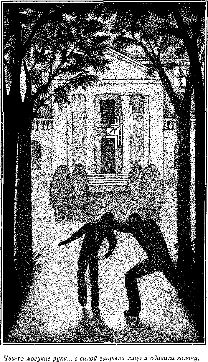 Посол без верительных грамот - i_010.png
