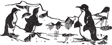 Кто есть кто в мире природы - i_014.png