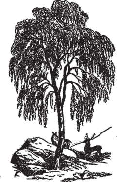 Кто есть кто в мире природы - i_017.png