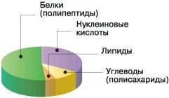 Биология. Общая биология. Базовый уровень. 10 класс - i_017.jpg