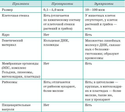 Биология. Общая биология. Базовый уровень. 10 класс - i_048.jpg