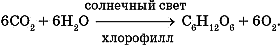 Биология. Общая биология. Базовый уровень. 10 класс - i_065.png