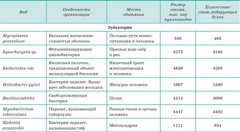 Биология. Общая биология. Базовый уровень. 10 класс - i_132.jpg