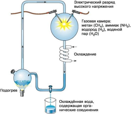Биология. Общая биология. Базовый уровень. 11 класс - i_051.jpg