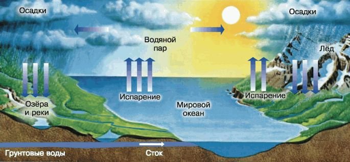 Биология. Общая биология. Базовый уровень. 11 класс - i_087.jpg