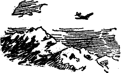 Приватне доручення - im_003.png