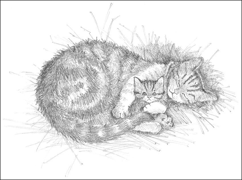 Котёнок Пушинка, или Рождественское чудо - i_006.jpg