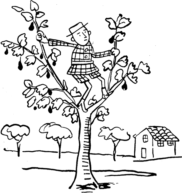 Дневник Джанни Урагани - i_022.png