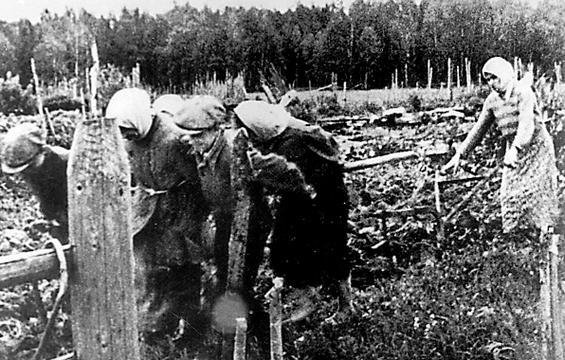 Детская книга войны - Дневники 1941-1945 - Kormilifrontzhenshhinyideti.jpg